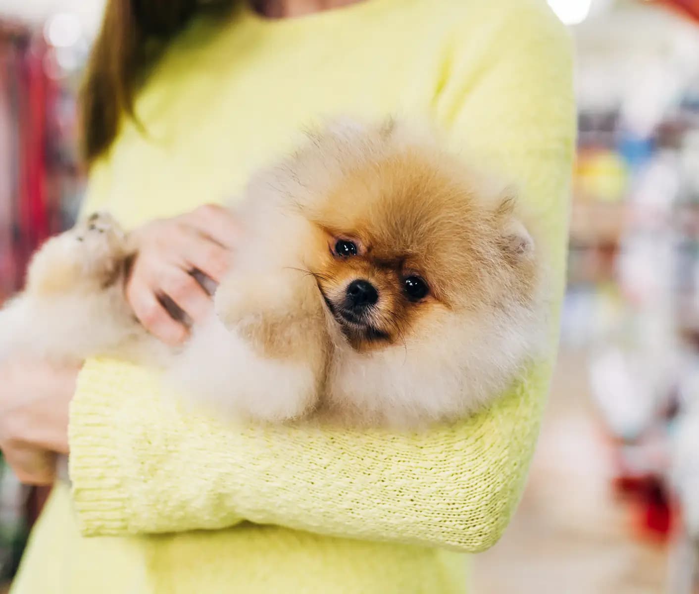 woman holding dog